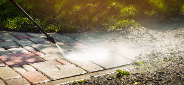  Encantada Ranchito El Calaboz, TX Pressure Washing Pros